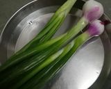 લીલી ડુંગળી અને ટામેટા નું સલાડ (Spring onion and Tomato salad recipe in Gujarati) રેસીપી સ્ટેપ1ફોટો