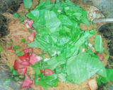Foto langkah ke 7 dari resep Mie Jagung Goreng Enak Parrah.