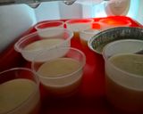 Foto langkah ke 2 dari resep Purel. Puding karamel.