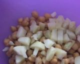A picture of step 2 of Pineapple Chat.