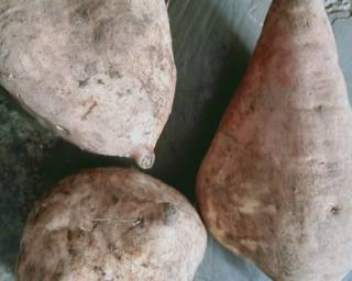 Kolak (pisang, ubi dan mutiara) - Step 1