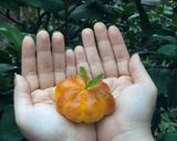 Hình bước làm 12 của món Bánh mì bí đỏ nướng bằng nồi chiên không dầu (CT savouryday)