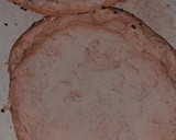 Foto del paso 10 de la receta: Mega hamburguesa