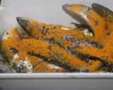 Foto del paso 2 de la receta: Sardinas especiadas en freidora de aire