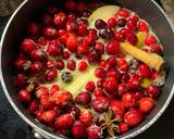 Cranberry SauceWith ginger, pear & spices recipe step 2 photo