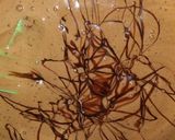 Foto langkah ke 3 dari resep Bolu Coklat Jadul.