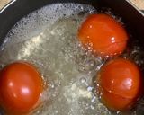 A picture of step 1 of Sweet and sour Tomato Curry serve with white rice.