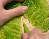 Hình bước làm 1 của món Bắp cải cuộn thịt sốt cà chua
