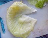 صورة لخطوة 3 من وصفة ملفوف