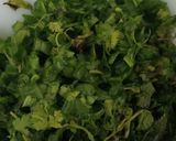 A picture of step 2 of Jingalov hats Armenian herb stuffed flatbread .