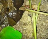 Foto langkah ke 2 dari resep Semur Jengkol Tahu Betawi.