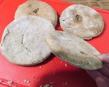 Foto del paso 5 de la receta: Pan de árabe (Trigo Sarraceno) (Sin TACC / Gluten Free)