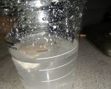 Foto langkah ke 27 dari resep Ragi Alami/ Natural Yeast/ Sourdough Starter.