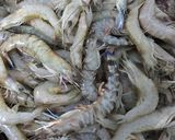 Hình bước làm 1 của món Tôm Khô
