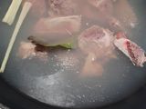 Sop iga