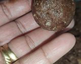 A picture of step 3 of Chocolate Cake Pops 🍰 🍫.