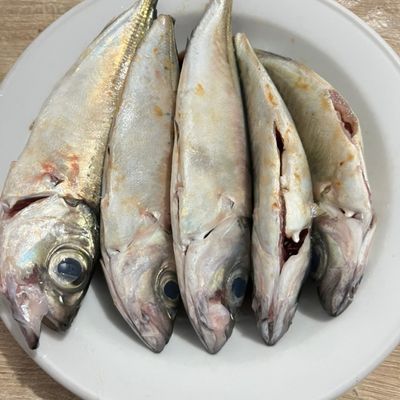 Langkah 4