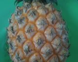 Foto langkah ke 1 dari resep Jus Nanas Susu.