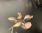 Une image de l'étape 8 de Poulet au lait de coco et poivrons.