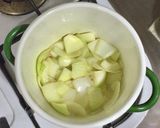 日式雞肉咖喱的食譜步驟7照片