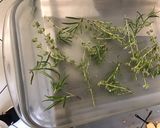 A picture of step 4 of Beef Filets with Marinated Garlic, Thyme, and Rosemary.