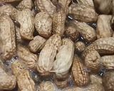 Foto langkah ke 3 dari resep Kacang Tanah Rebus.