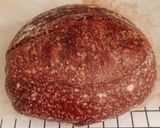Foto langkah ke 17 dari resep Basic Chocolate Sourdough Bread (88%).