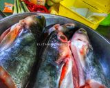 Foto langkah ke 1 dari resep Pepes kepala patin tempoyak.