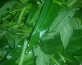 Foto langkah ke 1 dari resep Tumis kangkung rebon.