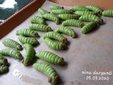 Caterpillar Cookies
