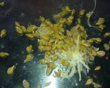 A picture of step 3 of Mix fruits juice.