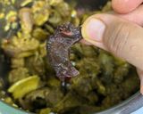 Gambar langkah 5 resipi Paru Sambalado Limau Purut.