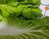 लेट्यूस सूप (Lettuce soup recipe in Hindi) रेसिपी चरण 1 फोटो