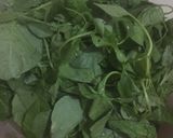 Foto langkah ke 1 dari resep Bobor Bayam dengan Oyong/Gambas & Labu Siam/Jipang.