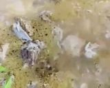 A picture of step 5 of Mutton Pulao.