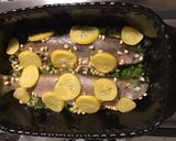 Une image de l'étape 12 de Truites aux oignons nouveaux,pignons de pin et citron confit.