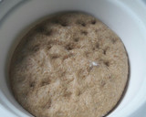 Foto del paso 4 de la receta: Pan dulce con harina integral y harina de avena🎄