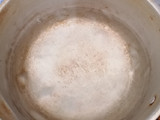 Pakis santan