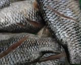 Foto langkah ke 1 dari resep Pepes Ikan Nila.