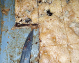 A picture of step 10 of Date Bar Cookie.