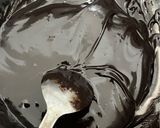 Foto langkah ke 1 dari resep Brownies Panggang Keju.