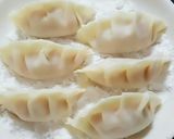 A picture of step 2 of How to Easily and Neatly Freeze Leftover Gyoza.