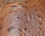 Foto del paso 10 de la receta: Brownies súper fácil