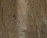 Foto del paso 6 de la receta: Trufas de chocolate negro