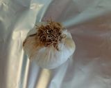 A picture of step 1 of Roasted garlic bulb.