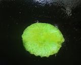 Foto langkah ke 6 dari resep Kue Cucur Betawi.