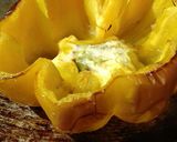Foto del paso 3 de la receta: Morrón relleno