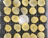 A picture of step 1 of Safe Vegetable Chips / Food Dehydrator.
