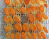 A picture of step 3 of Safe Vegetable Chips / Food Dehydrator.