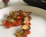 A picture of step 9 of Safe Vegetable Chips / Food Dehydrator.